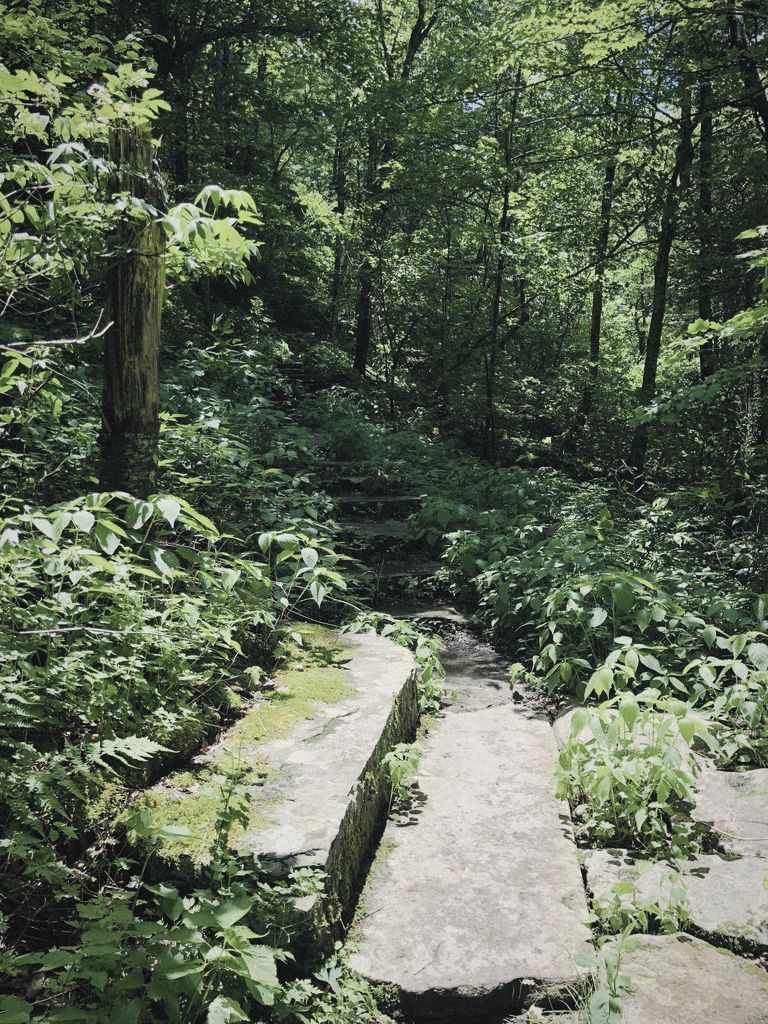 A mossy stone path winding into a sunlit forest